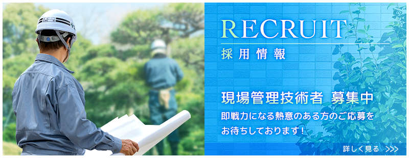 採用情報